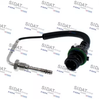 Capteur, température des gaz FISPA