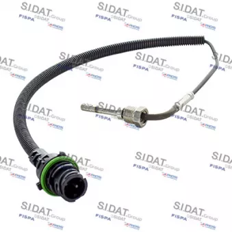 Capteur, température des gaz FISPA