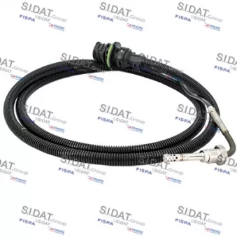 Capteur, température des gaz FISPA