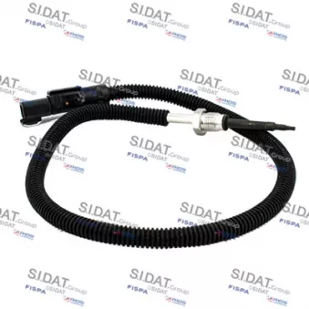 Capteur, température des gaz FISPA