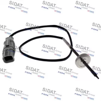 Capteur, température des gaz FISPA