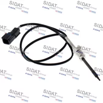 Capteur, température des gaz FISPA