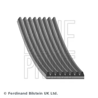 Courroie trapézoïdale à nervures BLUE PRINT