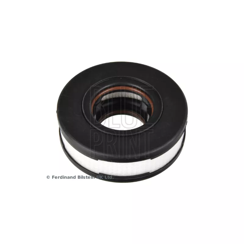 Filtre, ventilation du carter-moteur BLUE PRINT ADBP220056