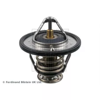 Thermostat d'eau BLUE PRINT ADC49206