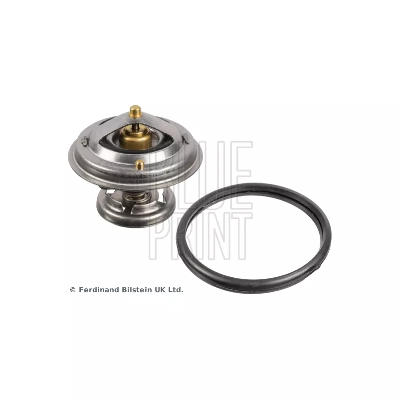 Thermostat d'eau BLUE PRINT ADG09236