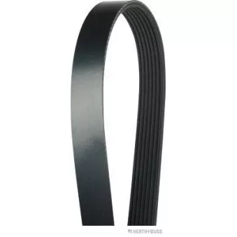 Courroie trapézoïdale à nervures HERTH+BUSS JAKOPARTS