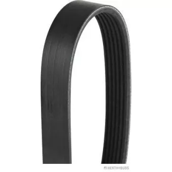 Courroie trapézoïdale à nervures HERTH+BUSS JAKOPARTS