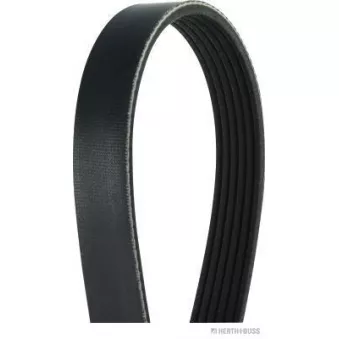Courroie trapézoïdale à nervures HERTH+BUSS JAKOPARTS