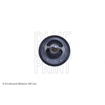 Thermostat d'eau BLUE PRINT ADZ99217