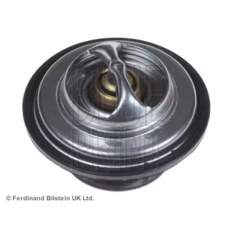 Thermostat d'eau BLUE PRINT ADZ99213