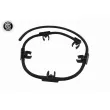 Tuyau, carburant de fuite VAICO V30-1441 - Visuel 1