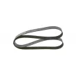 Courroie trapézoïdale à nervures BOSCH 1 987 946 231 - Visuel 1