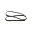 Courroie trapézoïdale à nervures BOSCH 1 987 946 231 - Visuel 3