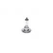 Ampoule BOSCH 1 987 301 012 - Visuel 1