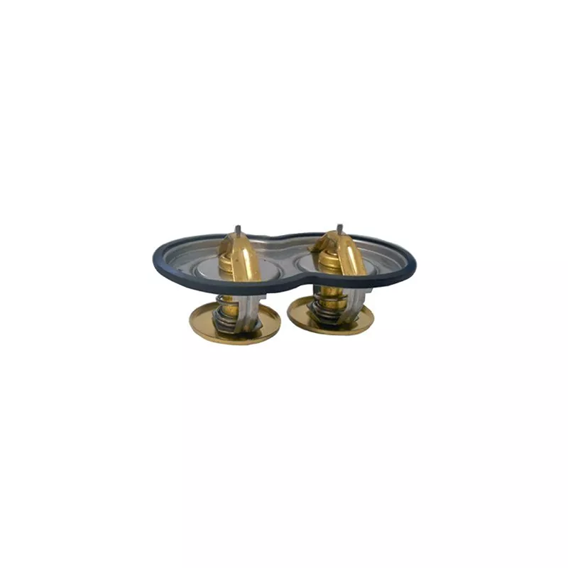 Thermostat, liquide de refroidissement FISPA 94.852