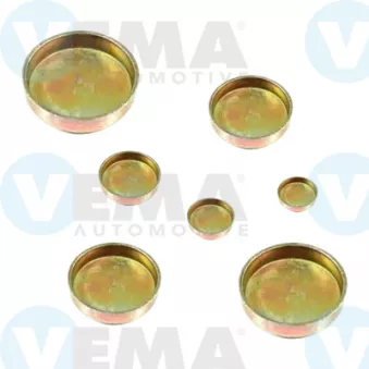 Vis-bouchon, carter de vilebrequin VEMA