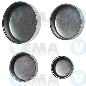 Vis-bouchon, carter de vilebrequin VEMA