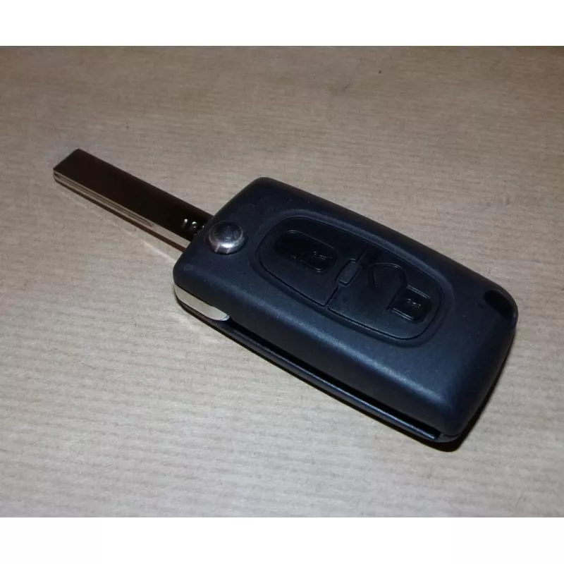 Clef De Voiture OE 1606994880 - Visuel 1