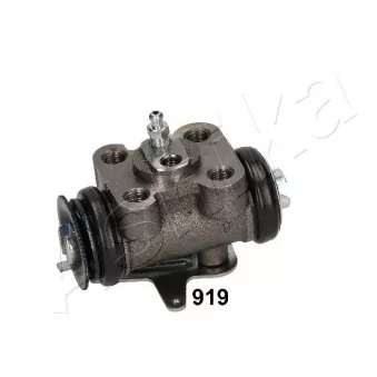 Cylindre de roue arrière gauche  ASHIKA 67-09-919