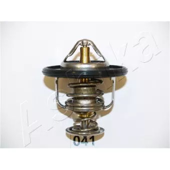 Thermostat d'eau ASHIKA