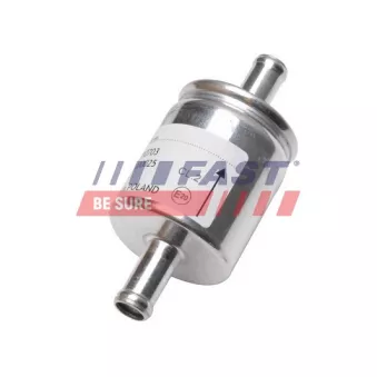 Filtre à carburant FAST