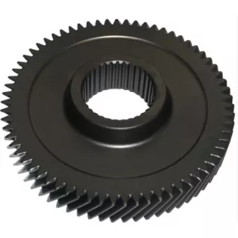 ENGRENAGE OE 55210465