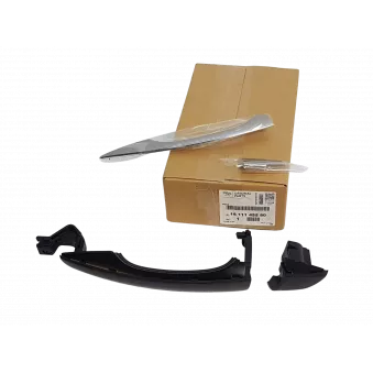 POIGNÉE DE PORTE OE 1611145580