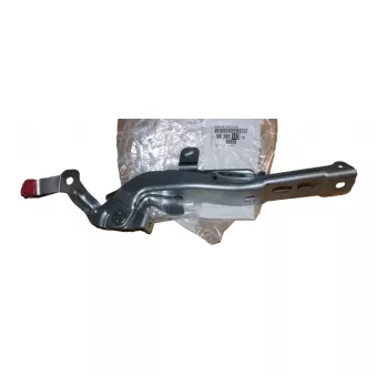 CHARNIÈRE OE 9838511380