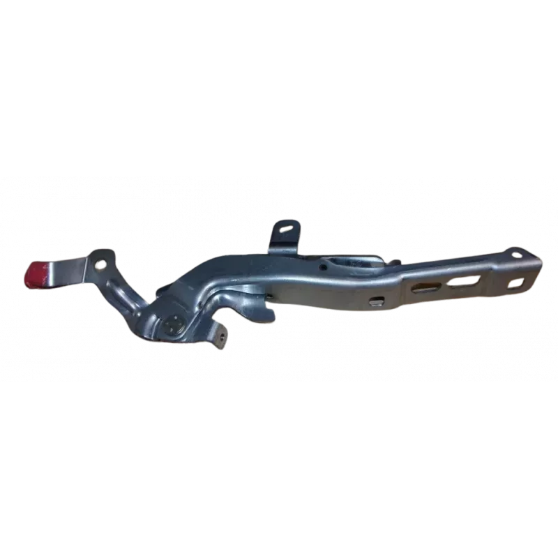 CHARNIÈRE OE 9838511380 - Visuel 1