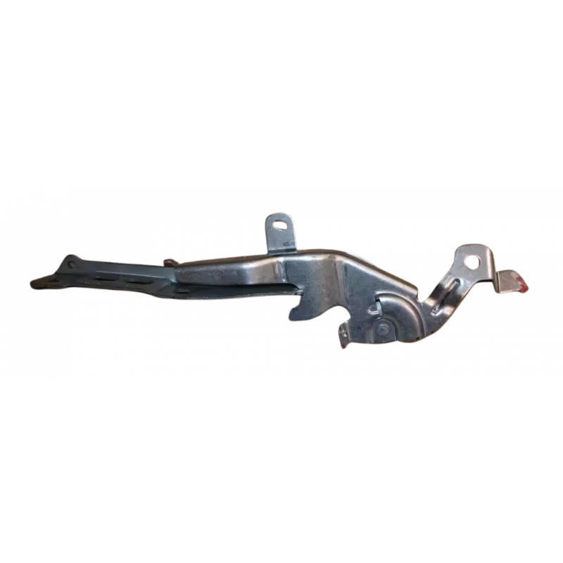 CHARNIÈRE OE 9838511380 - Visuel 2