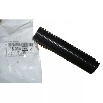 Capot, Fils électriques OE 1609683080