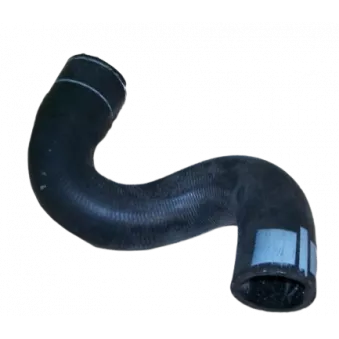 Tuyau De Radiateur OE 1343Z3