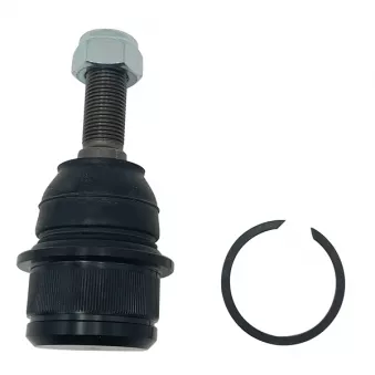 Rotule de suspension CTR CB0536