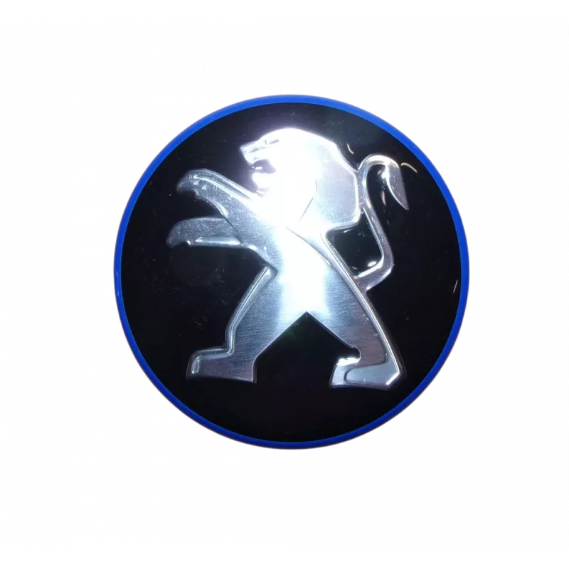 Capuchon de jante OE 98079992PZ - Visuel 2