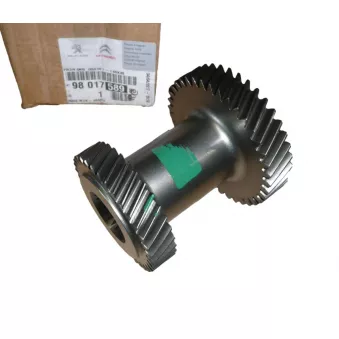Roue dentée boîte de vitesse OE 9801758980