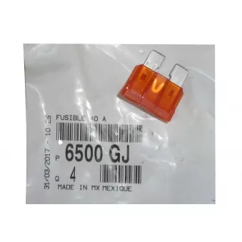 Fusible, Boîtier Fusibles OE 6500GJ