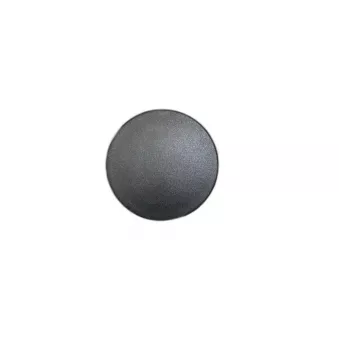 Bonnette, projecteur principal OE 6554A1