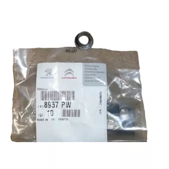 Bonnette, projecteur principal OE 8957PW