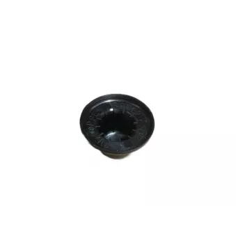 Bonnette, projecteur principal OE 8742AA