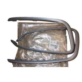 Boîtier, projecteur antibrouillard OE 1622709380