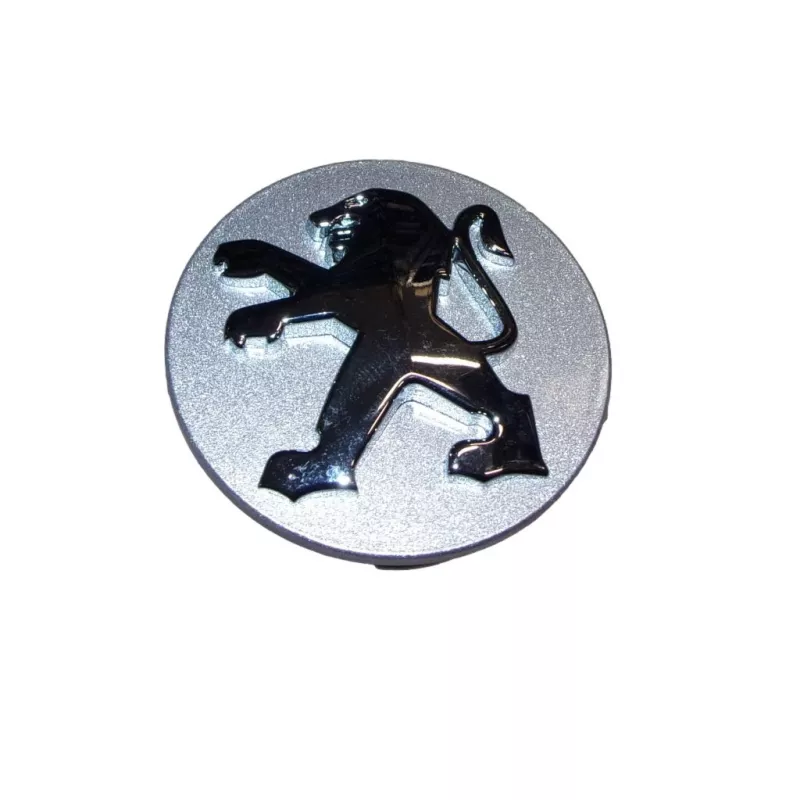 Capuchon de jante OE 542102 - Visuel 1