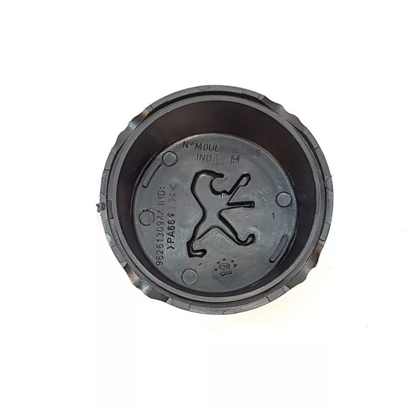 Capuchon de jante OE 541672 - Visuel 3