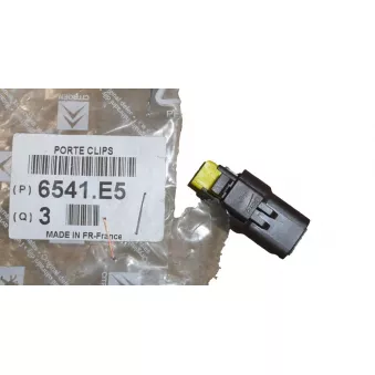 Fiche pour faisceau OE 6541E5