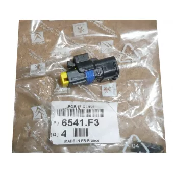 Fiche pour faisceau OE 6541F3