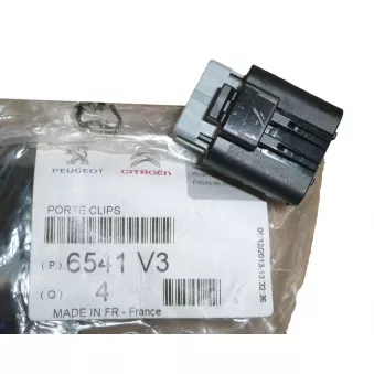 Fiche pour faisceau OE 6541V3