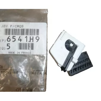 Fiche pour faisceau OE 6541H9