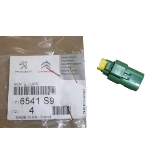 Fiche pour faisceau OE 6541S9