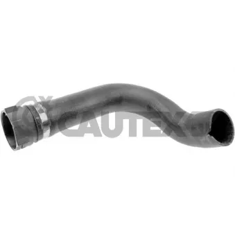 Durite de radiateur CAUTEX