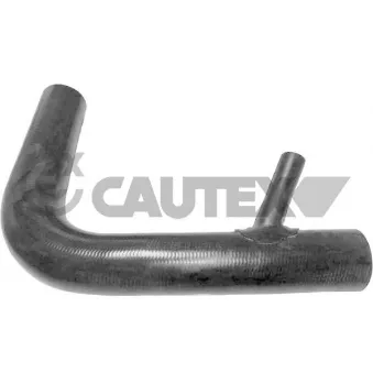 Durite de radiateur CAUTEX
